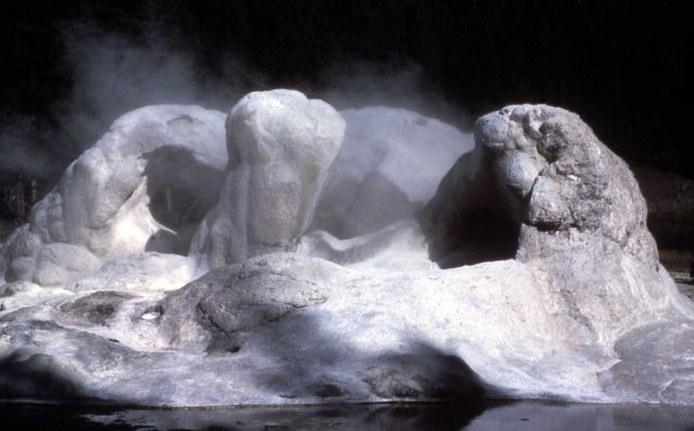 Grotto Geyser - Upper Geyser Basin Picture