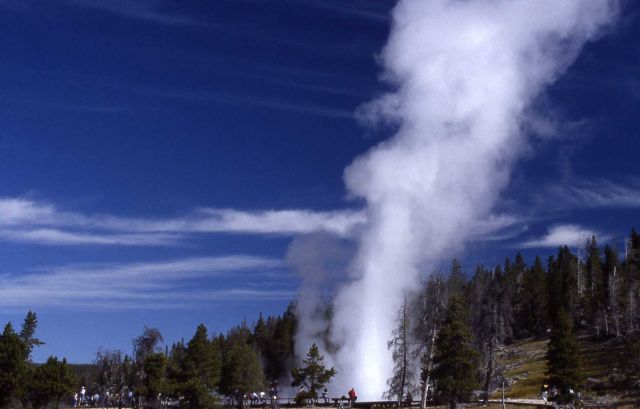 Grand Geyser - Upper Geyser Basin Picture