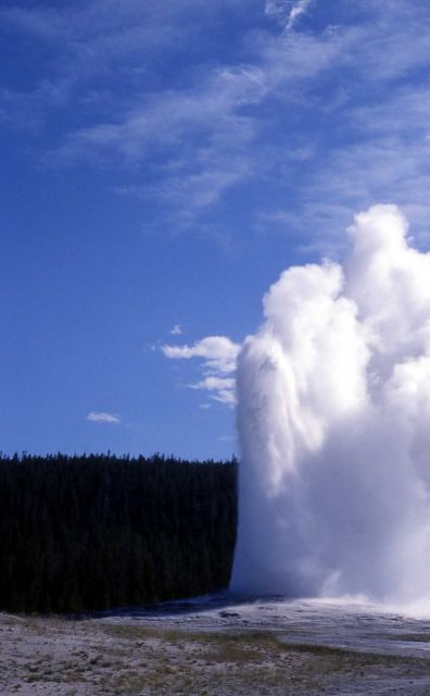 Old Faithful Geyser erupting - Upper Geyser Basin Picture
