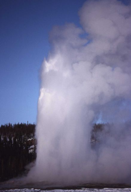 Old Faithful Geyser erupting - Upper Geyser Basin Picture