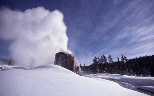 Lone Star Geyser erupting in winter - Upper Geyser Basin Picture