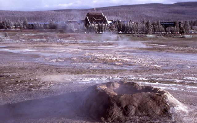 Sponge Geyser - Upper Geyser Basin Picture