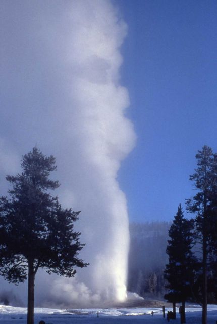 Old Faithful Geyser in winter - Upper Geyser Basin Picture
