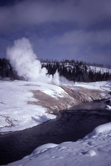 Cascade Geyser erupting after near dormancy for a century after earthquake - Upper Geyser Basin Picture