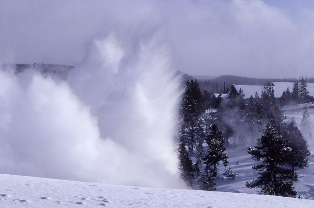 Cascade Geyser as seen from Plume Geyser area - Upper Geyser Basin Picture