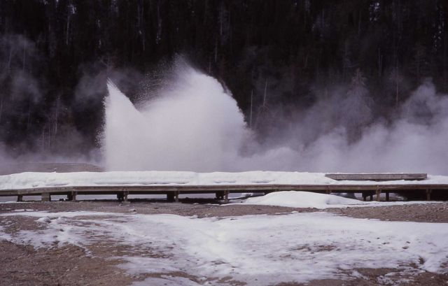 Plume Geyser - Upper Geyser Basin Picture