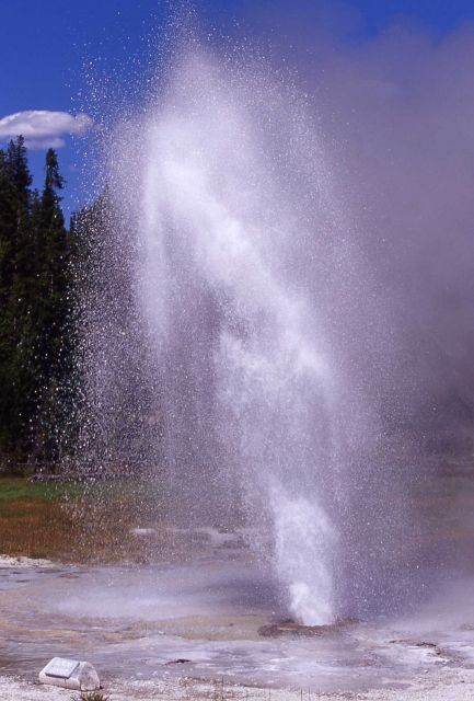 Aurum Geyser - Upper Geyser Basin Picture