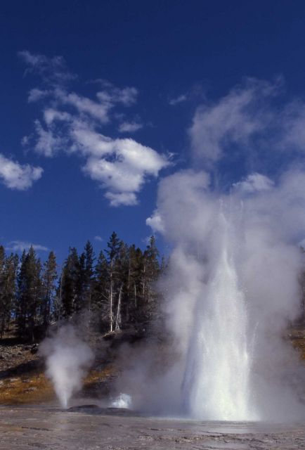 Grand Geyser - Upper Geyser Basin Picture