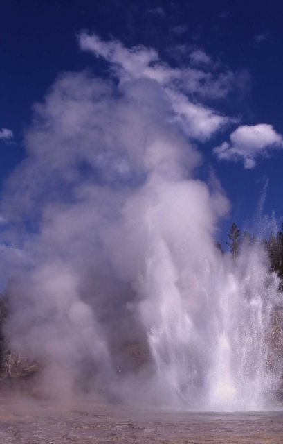 Grand Geyser - Upper Geyser Basin Picture
