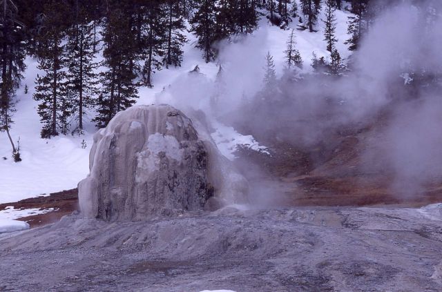 Lone Star Geyser - Upper Geyser Basin Picture