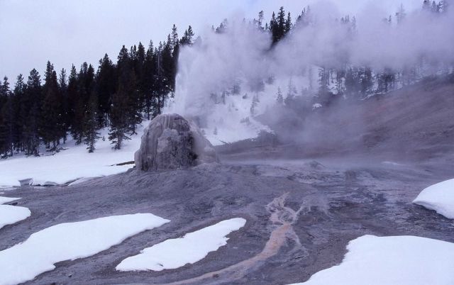Lone Star Geyser - Upper Geyser Basin Picture