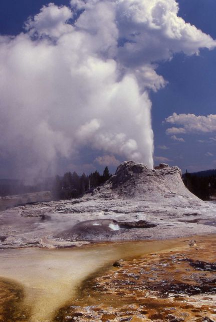 Castle Seyser & Tortoise Shell Spring - Upper Geyser Basin Picture