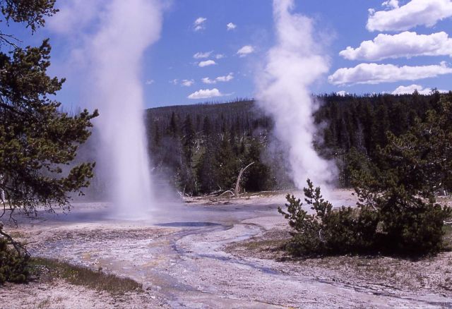 Grotto Fountain Geyser & South Grotto Geyser - Upper Geyser Basin Picture