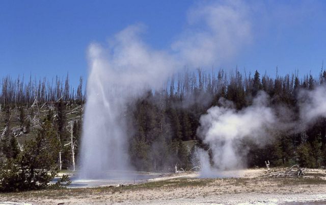 Grotto Fountain Geyser & South Grotto Geyser - Upper Geyser Basin Picture