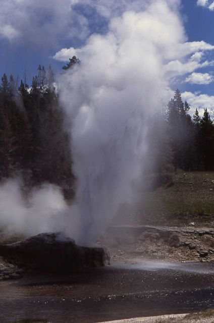 Riverside Geyser - Upper Geyser Basin Picture