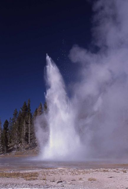 Grand Geyser - Upper Geyser Basin Picture