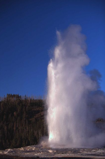Old Faithful Geyser - Upper Geyser Basin Picture