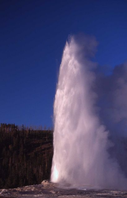 Old Faithful Geyser - Upper Geyser Basin Picture