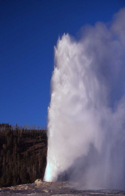 Old Faithful Geyser - Upper Geyser Basin Picture