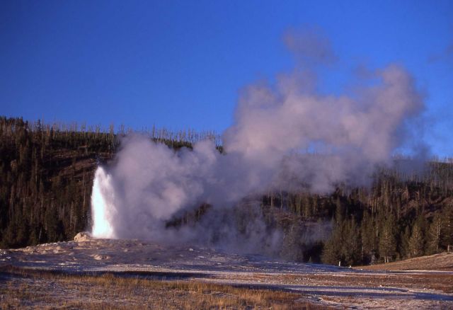 Old Faithful Geyser - Upper Geyser Basin Picture