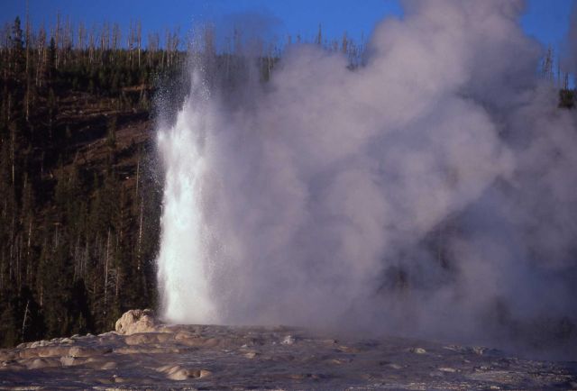 Old Faithful Geyser - Upper Geyser Basin Picture