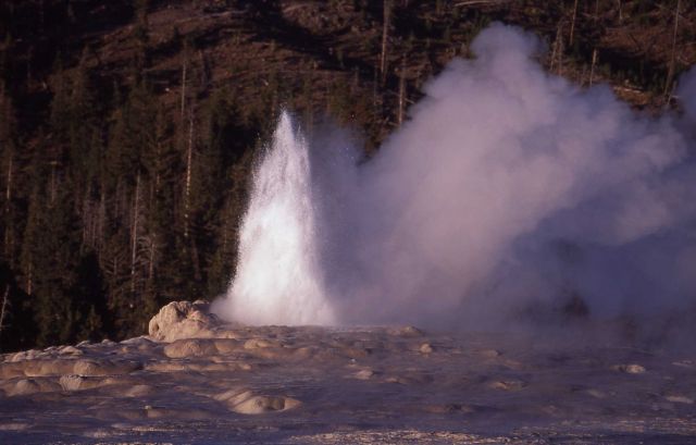 Old Faithful Geyser - Upper Geyser Basin Picture