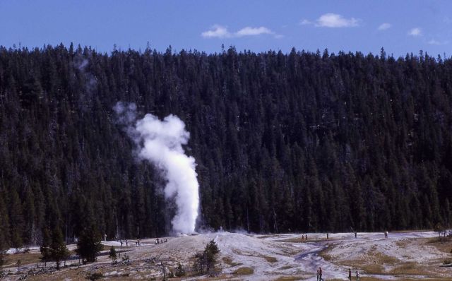 Lion Geyser - Upper Geyser Basin Picture