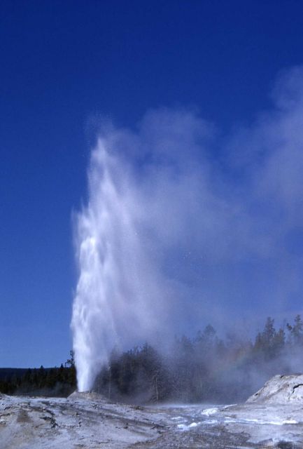 Big Cub Geyser - Upper Geyser Basin Picture