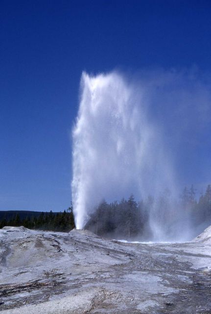 Big Cub Geyser - Upper Geyser Basin Picture