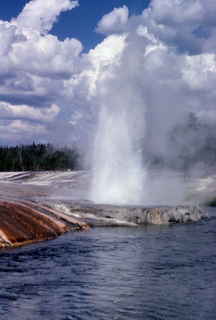 Cliff Geyser in Black Sand Basin - Upper Geyser Basin Picture