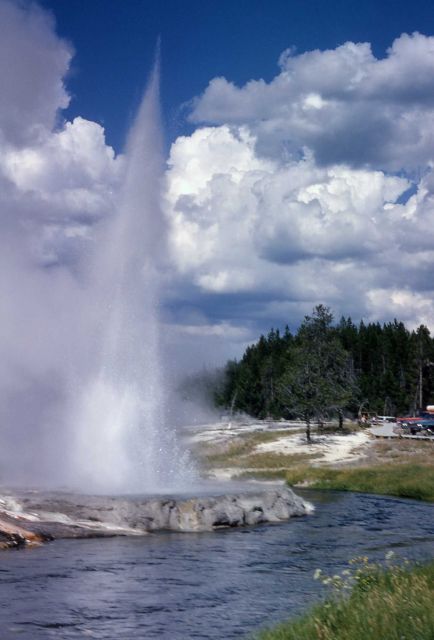 Cliff Geyser in Black Sand Basin - Upper Geyser Basin Picture