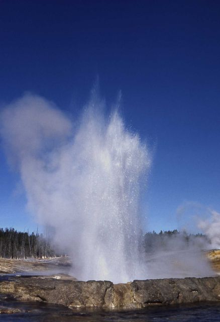 Cliff Geyser in Black Sand Basin - Upper Geyser Basin Picture