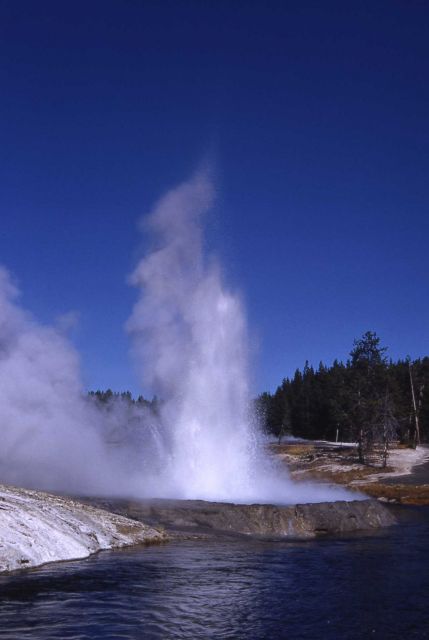 Cliff Geyser in Black Sand Basin - Upper Geyser Basin Picture