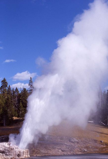 Riverside Geyser - Upper Geyser Basin Picture