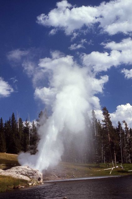 Riverside Geyser - Upper Geyser Basin Picture