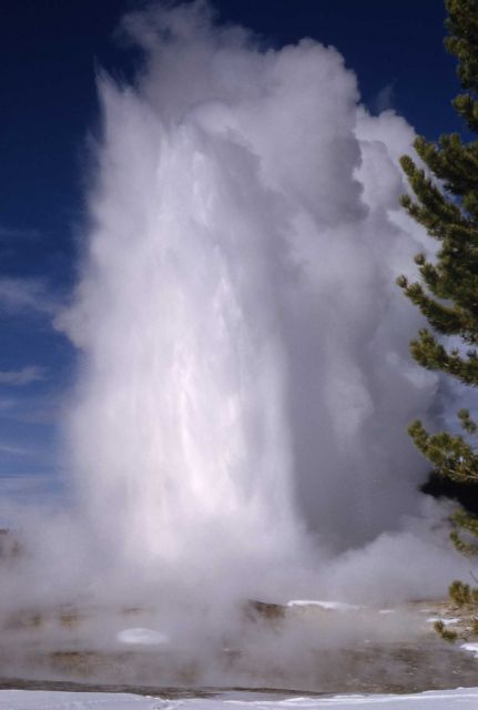 Giant Geyser - Upper Geyser Basin Picture