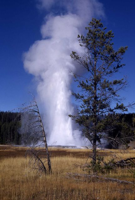 Giant Geyser - Upper Geyser Basin Picture