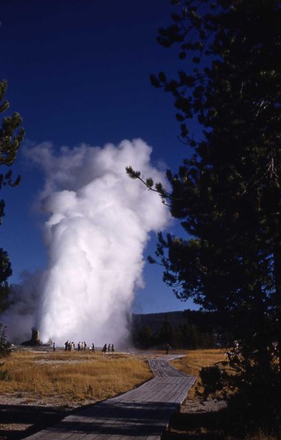 Giant Geyser - Upper Geyser Basin Picture