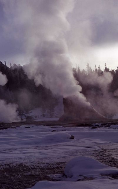 Giant Geyser - Upper Geyser Basin Picture