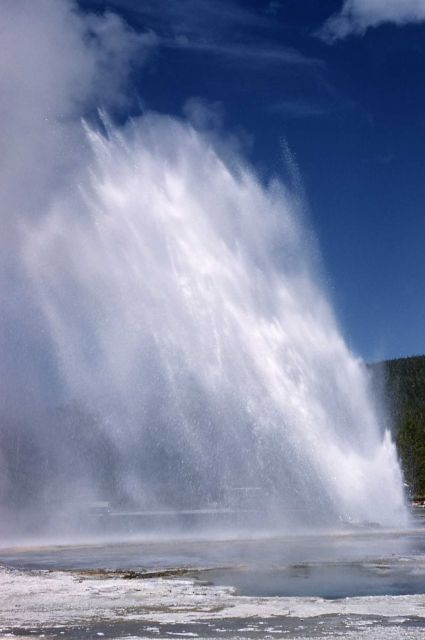 Daisy Geyser - Upper Geyser Basin Picture