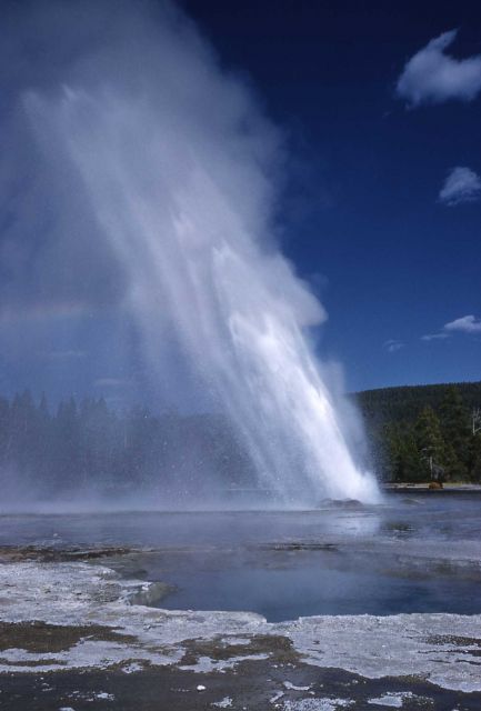 Daisy Geyser - Upper Geyser Basin Picture