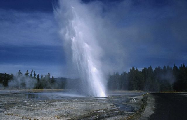Daisy Geyser - Upper Geyser Basin Picture