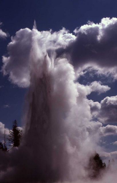 Grand Geyser - Upper Geyser Basin Picture