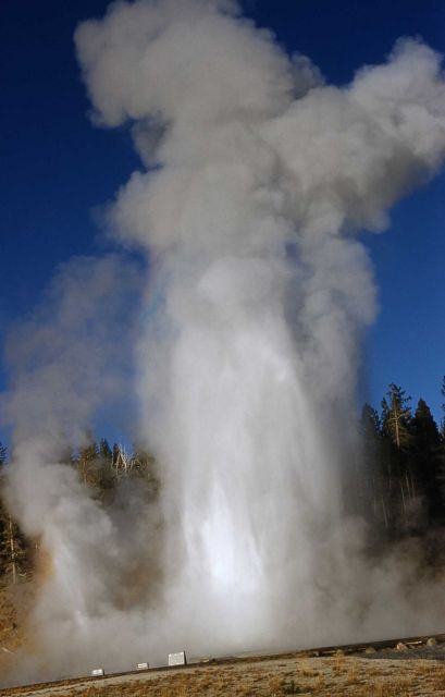 Grand Geyser - Upper Geyser Basin Picture