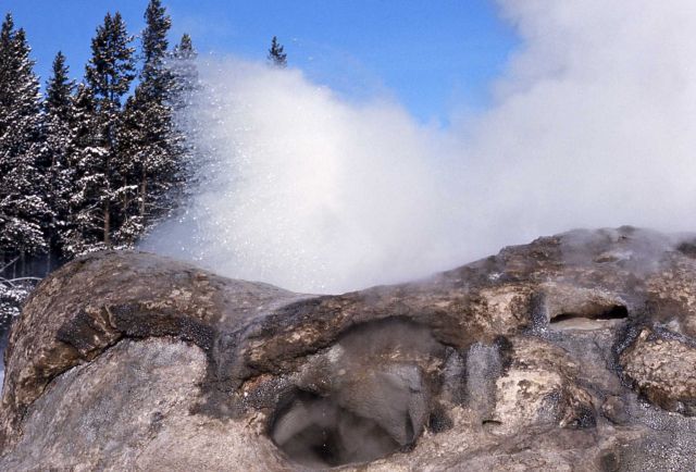 Grotto Geyser - Upper Geyser Basin Picture