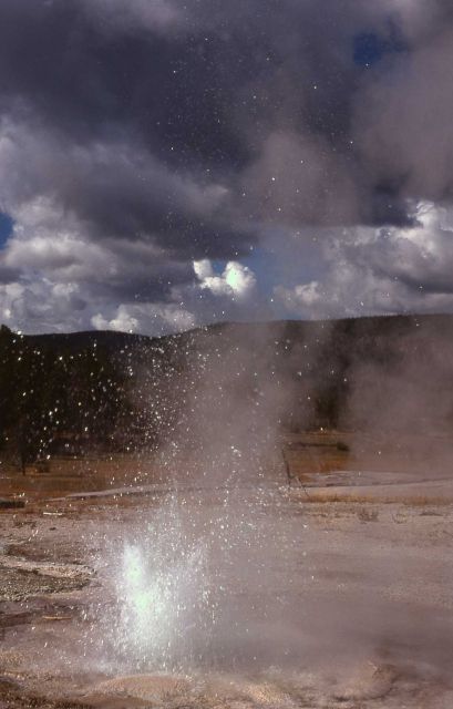 Tardy Geyser - Upper Geyser Basin Picture