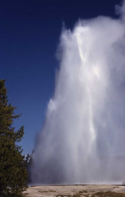 Splendid Geyser - Upper Geyser Basin Picture