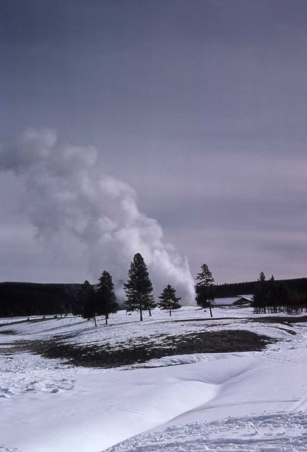 Old Faithful Geyser in the winter - Upper Geyser Basin Picture