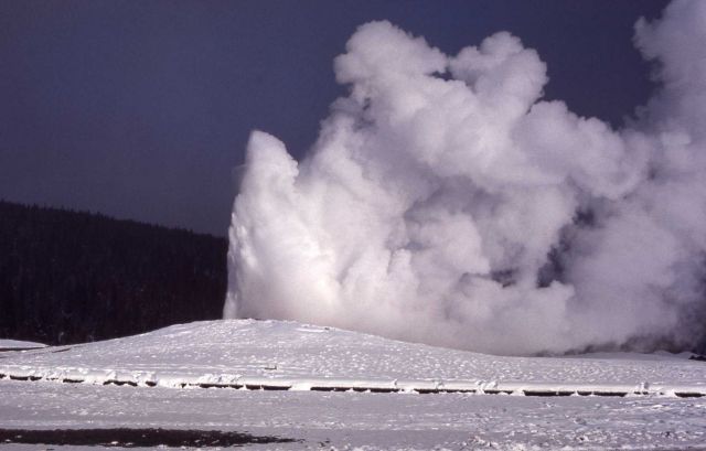 Old Faithful Geyser in the winter - Upper Geyser Basin Picture