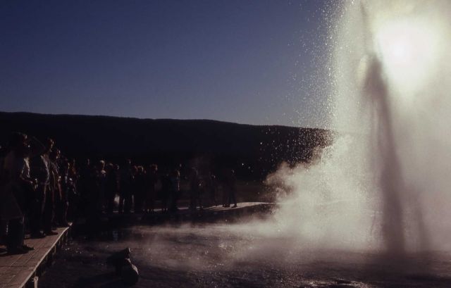 Plume Geyser - Upper Geyser Basin Picture